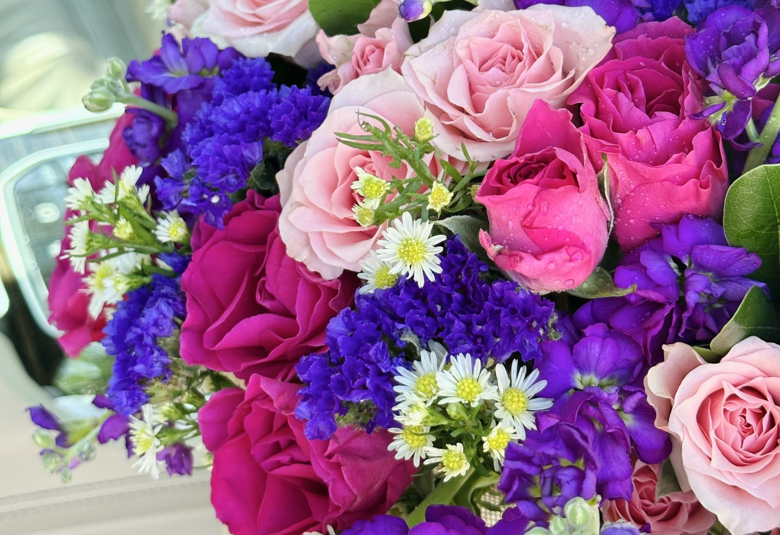 How to Take Care for Your Flower Box?