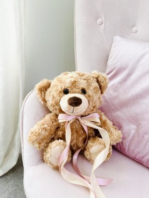 Soft Teddy Bear